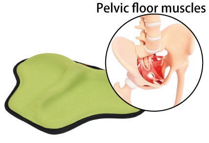 Pelvic floor training cushion for urinary incontinence